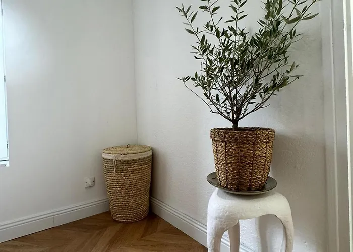 La Halte Des Arenes De Nude Beaute Du Minimalisme *